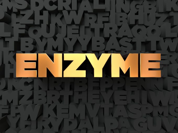Enzyme 酵素